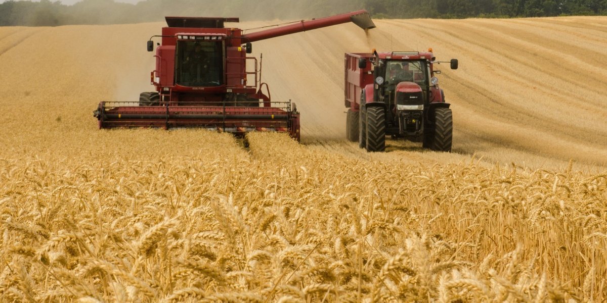 Продовольственный кризис толкает Францию к введению продуктовых талонов для населения
