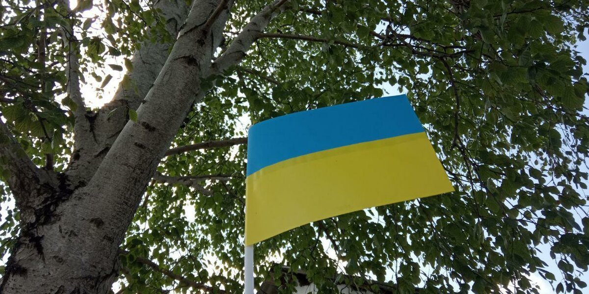 В Госдуме посоветовали Киеву уже готовить план по вхождению в состав России