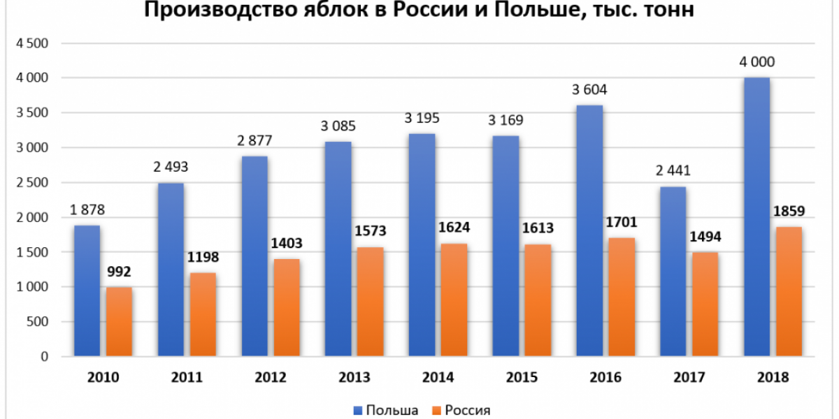 5 лет на импортозамещение: о производстве яблок в России