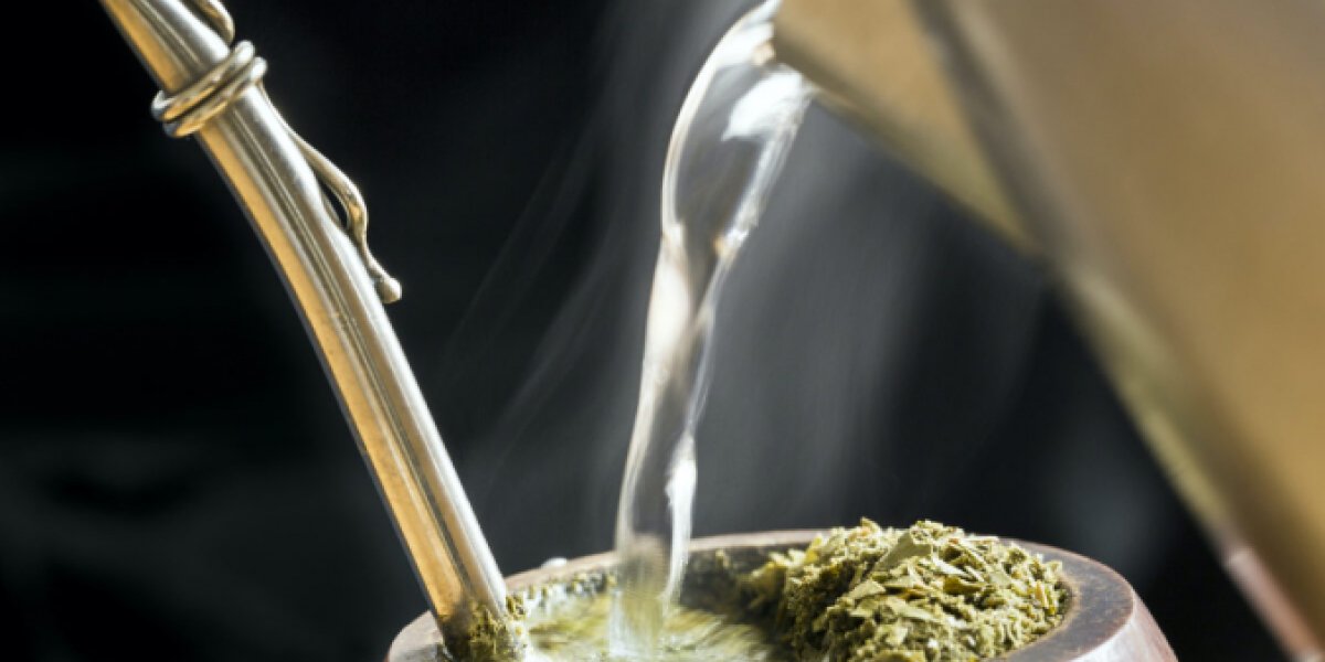 Мате: Полезный чай с опасной гранью — как избежать вреда для здоровья Мате: Полезный чай с опасной гранью — как избежать вреда для здоровья