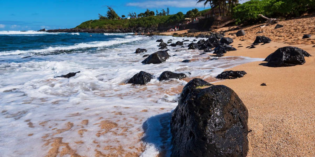 Турция лидирует, но Россия в приоритете: куда поедут отдыхать россияне в 2025 году Турция лидирует, но Россия в приоритете: куда поедут отдыхать россияне в 2025 году