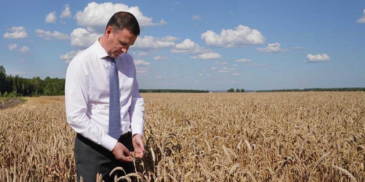 Чиновники решились регулировать цены на продукты: как бы после этого даже без сухарей не остаться Чиновники решились регулировать цены на продукты: как бы после этого даже без сухарей не остаться