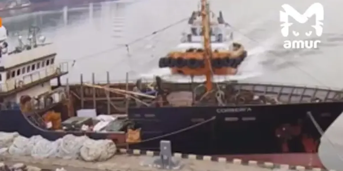 Таинственный таран в Находке: Буксир &laquo;Бикин&raquo; протаранил судно и скрылся