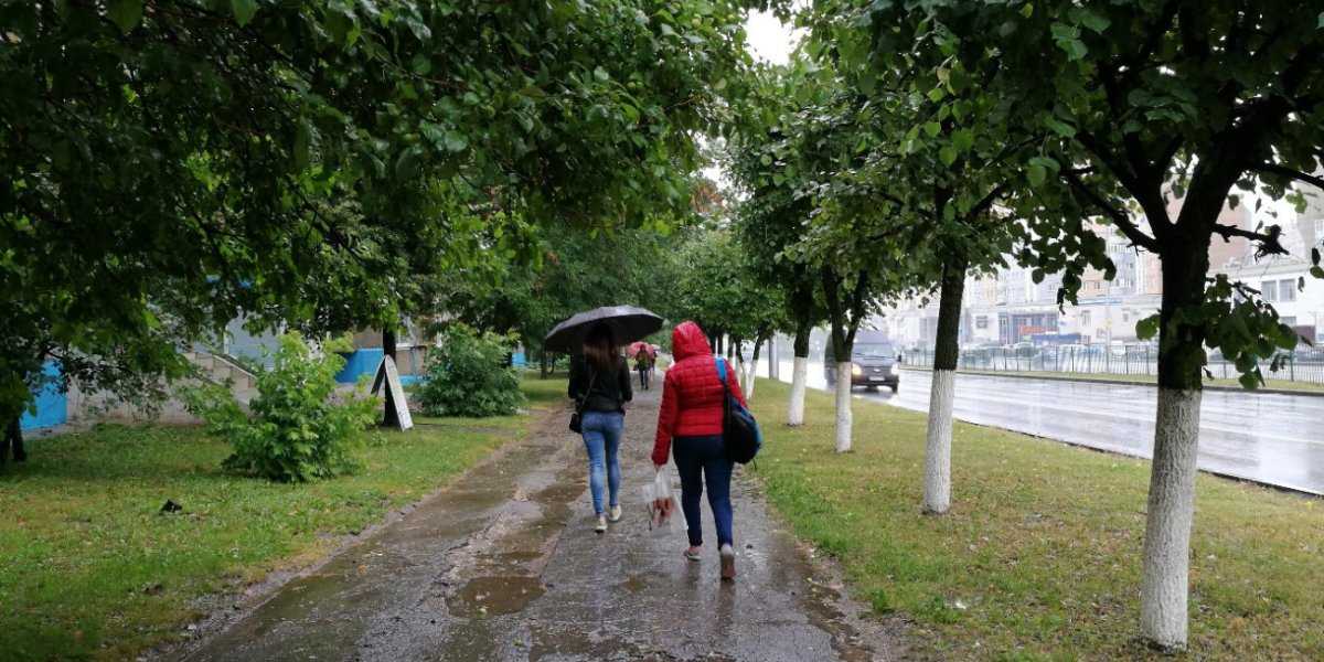 Резкое похолодание до +8°C и затяжные дожди: Вильфанд предупредил о осенней погоде в центре России Резкое похолодание до +8°C и затяжные дожди: Вильфанд предупредил о осенней погоде в центре России