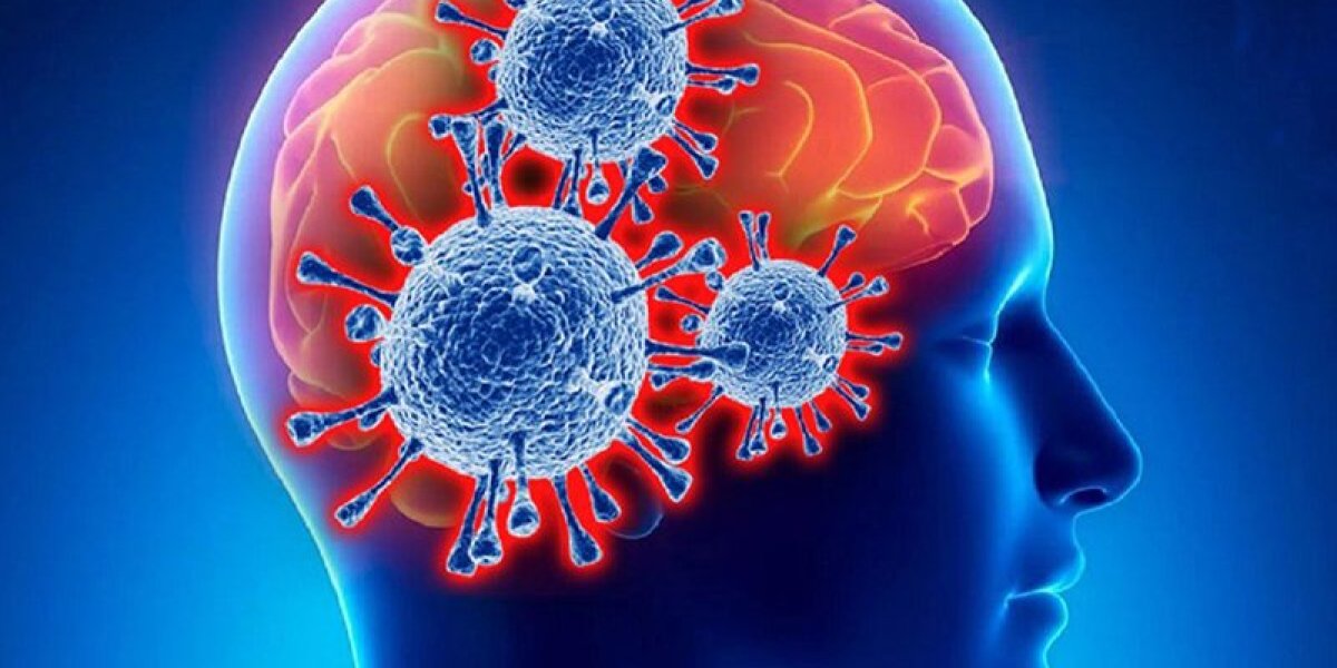 Вирус SARS-CoV-2 атакует мозг: Ученые обнаружили механизм, ведущий к потере памяти