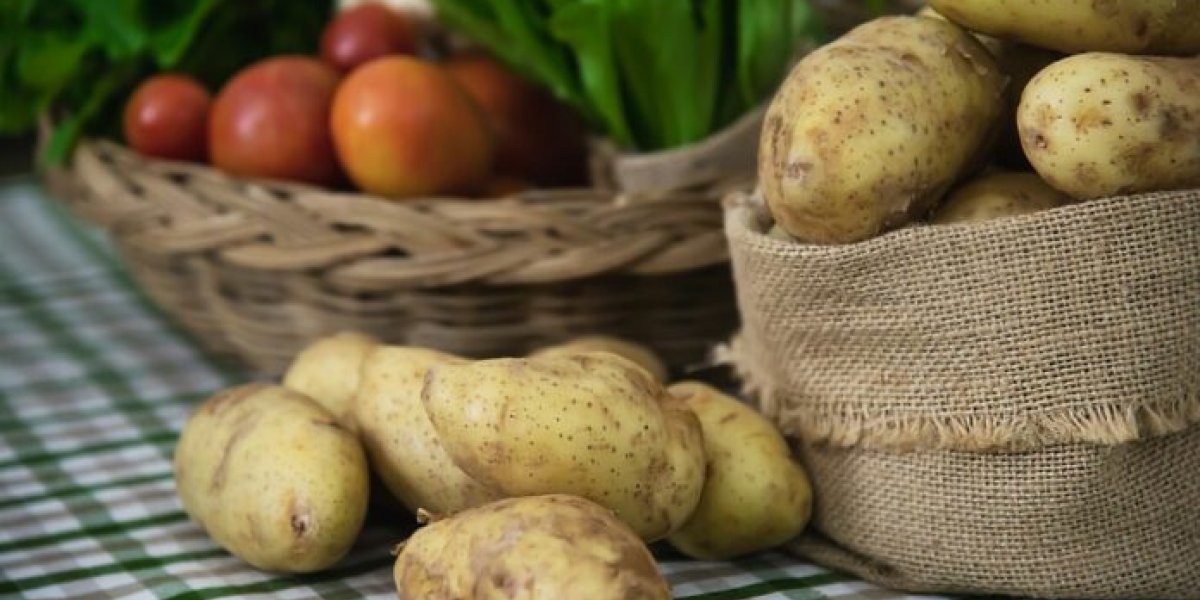 Бархатцы против нематоды: гениальный трюк умных огородников для защиты картофеля