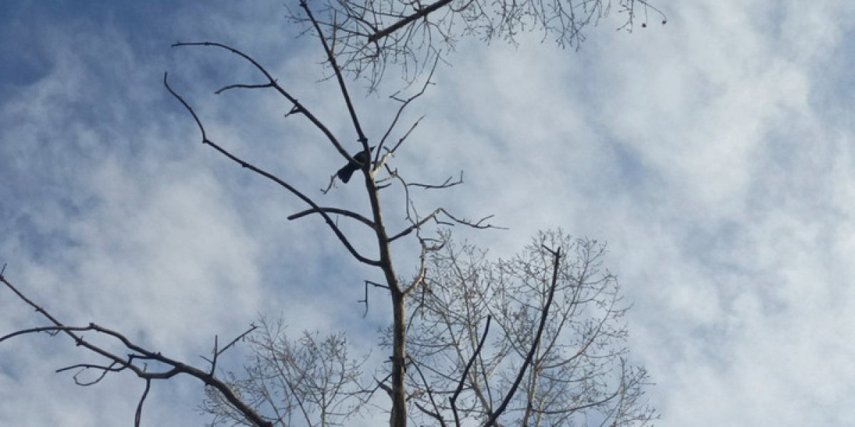 Мурманская область готовится к штормовому ветру и резкому похолоданию Мурманская область готовится к штормовому ветру и резкому похолоданию