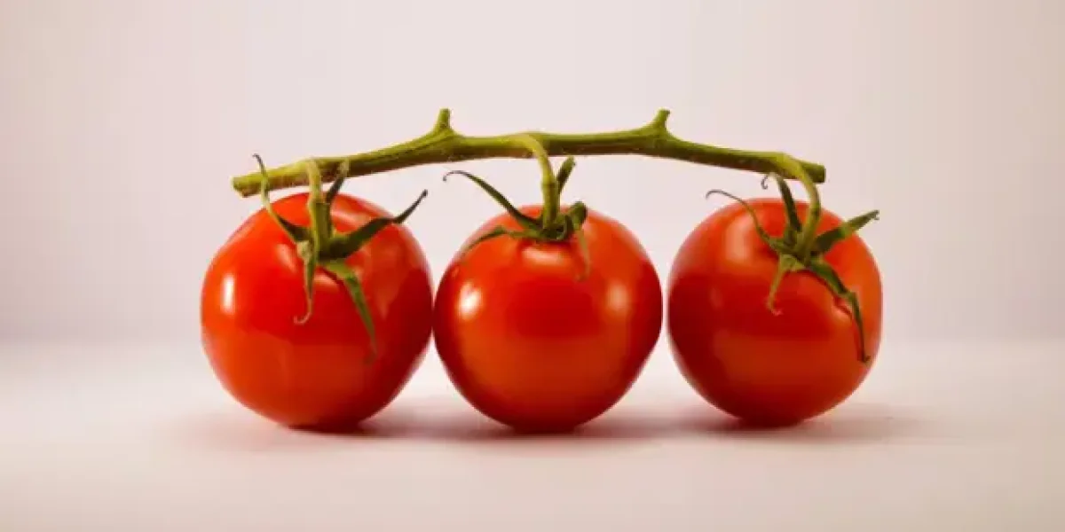 Турист рассказал о ценах на продукты в Турист рассказал о ценах на продукты в