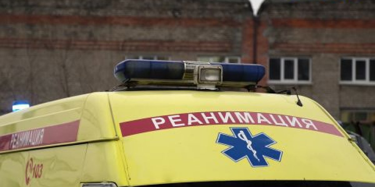 Ядовитые змеи Приморья: Подросток чудом избежал ампутации после укуса на пляже