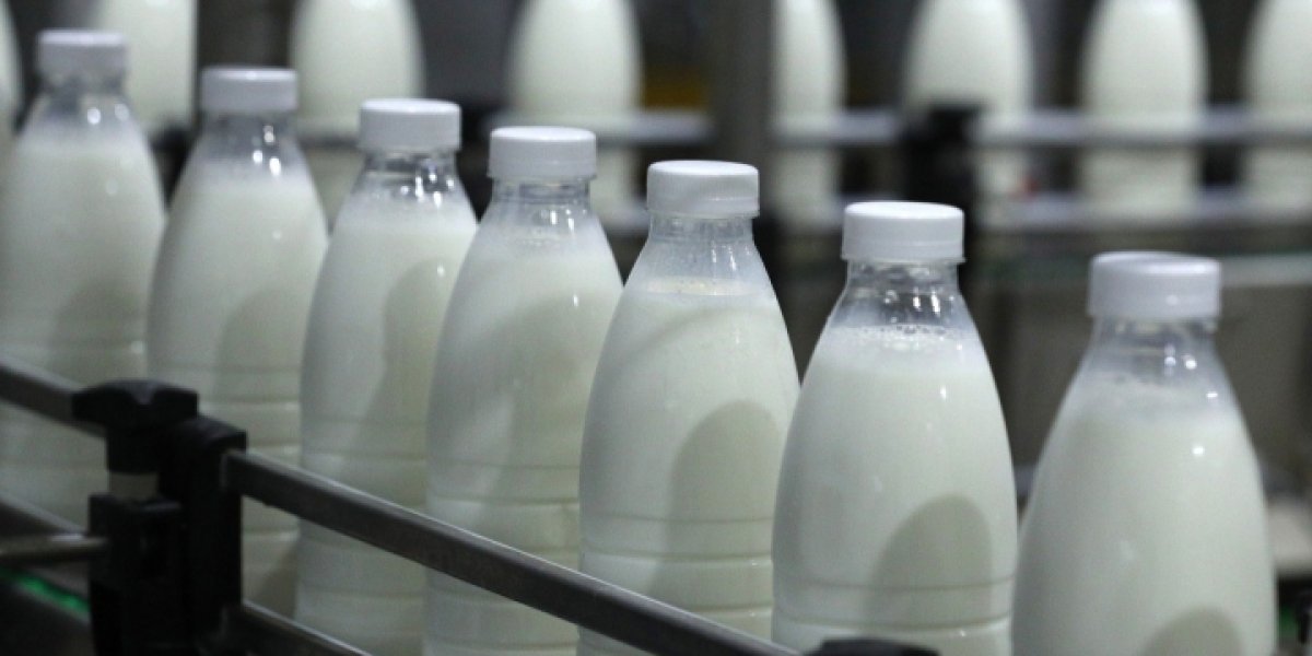 Опасность на полках: Россельхознадзор обнаружил патогены и фальсификат в популярных продуктах Опасность на полках: Россельхознадзор обнаружил патогены и фальсификат в популярных продуктах