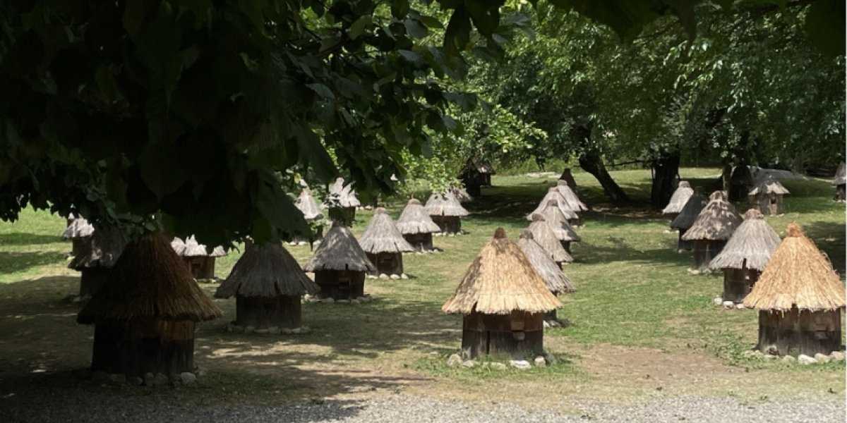 Абхазия больше не бюджетный рай: Туристы столкнулись с резким ростом цен на отдых Абхазия больше не бюджетный рай: Туристы столкнулись с резким ростом цен на отдых