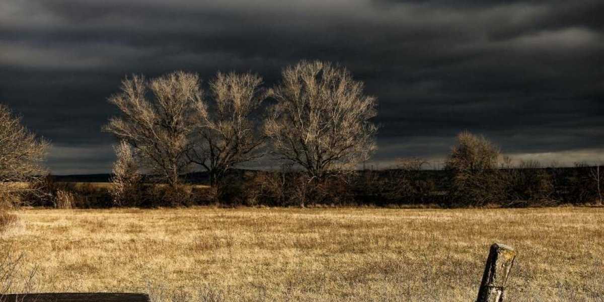 &laquo;Октябрь будет как страшный сон&raquo;: синоптики предупредили о суровой середине осени