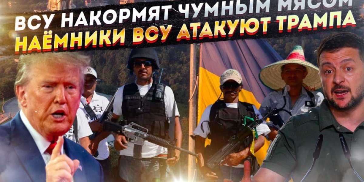 Украина вооружает мексиканские банды | Мясо больных кабанов для ВСУ | НАЦБАТЫ В ЯРОСТИ