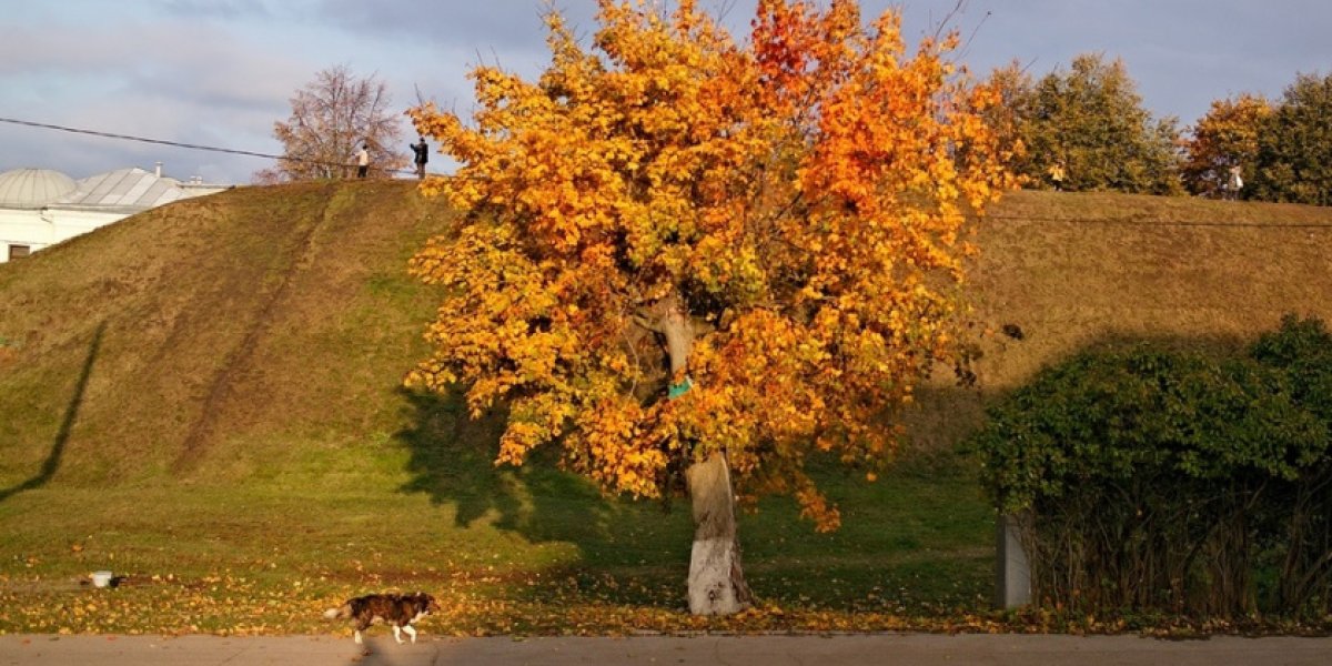 Сентябрьская погода в центре России: прогноз от Романа Вильфанда Сентябрьская погода в центре России: прогноз от Романа Вильфанда