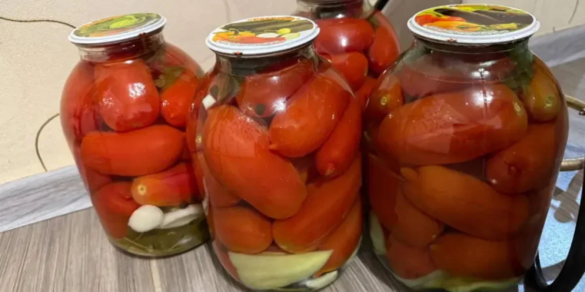 Помидоры без пастеризации: бабушкин рецепт хрустящей консервации на всю зиму Помидоры без пастеризации: бабушкин рецепт хрустящей консервации на всю зиму