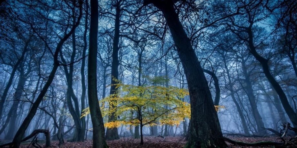 Аномальный сентябрь: почему начало осени удивит россиян непривычной погодой Аномальный сентябрь: почему начало осени удивит россиян непривычной погодой