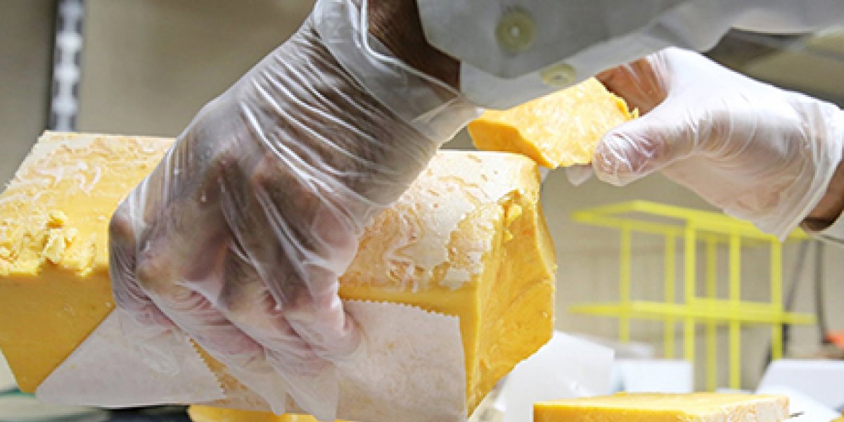 Как за 10 секунд отличить настоящий сыр от подделки: Секрет гибкого ломтика Как за 10 секунд отличить настоящий сыр от подделки: Секрет гибкого ломтика