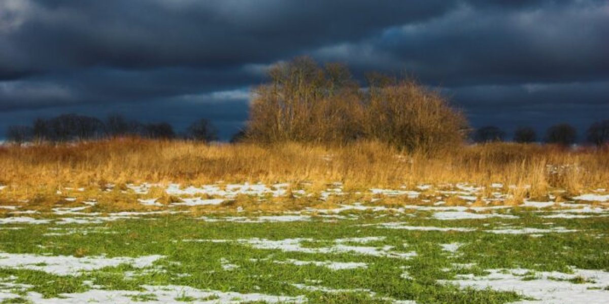 «Октябрь будет адовый»: синоптики предупредили о резком похолодании и непогоде по всей России