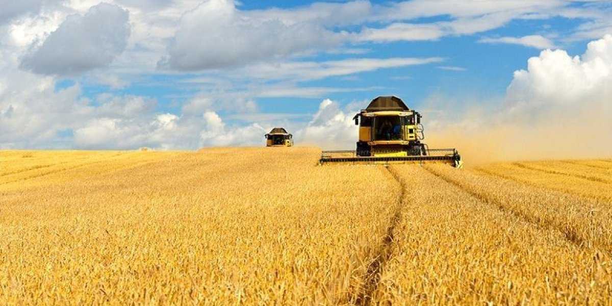 Пшеница и родий бьют рекорды: как дефицит редкого металла и зерна ударит по кошелькам Пшеница и родий бьют рекорды: как дефицит редкого металла и зерна ударит по кошелькам