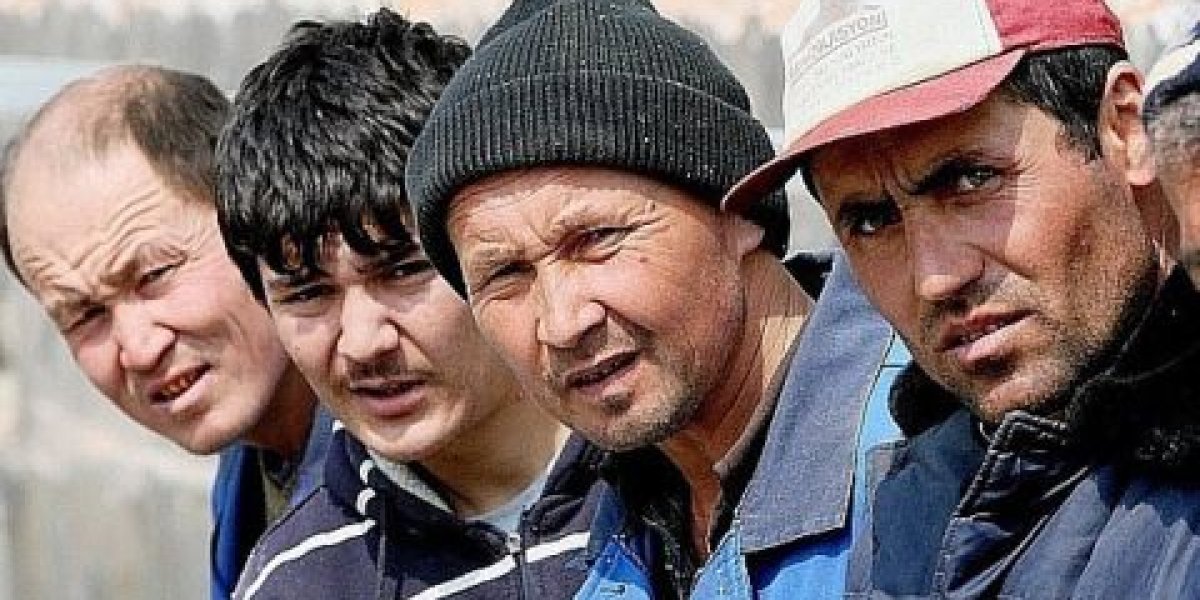 Курьеры-мигранты под запретом: ограничения вступили в силу в 32 регионах России Курьеры-мигранты под запретом: ограничения вступили в силу в 32 регионах России