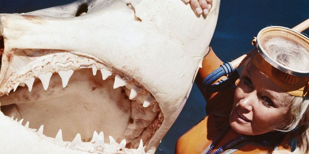 Семь часов среди акул: как один ужасный день навсегда изменил жизнь американки