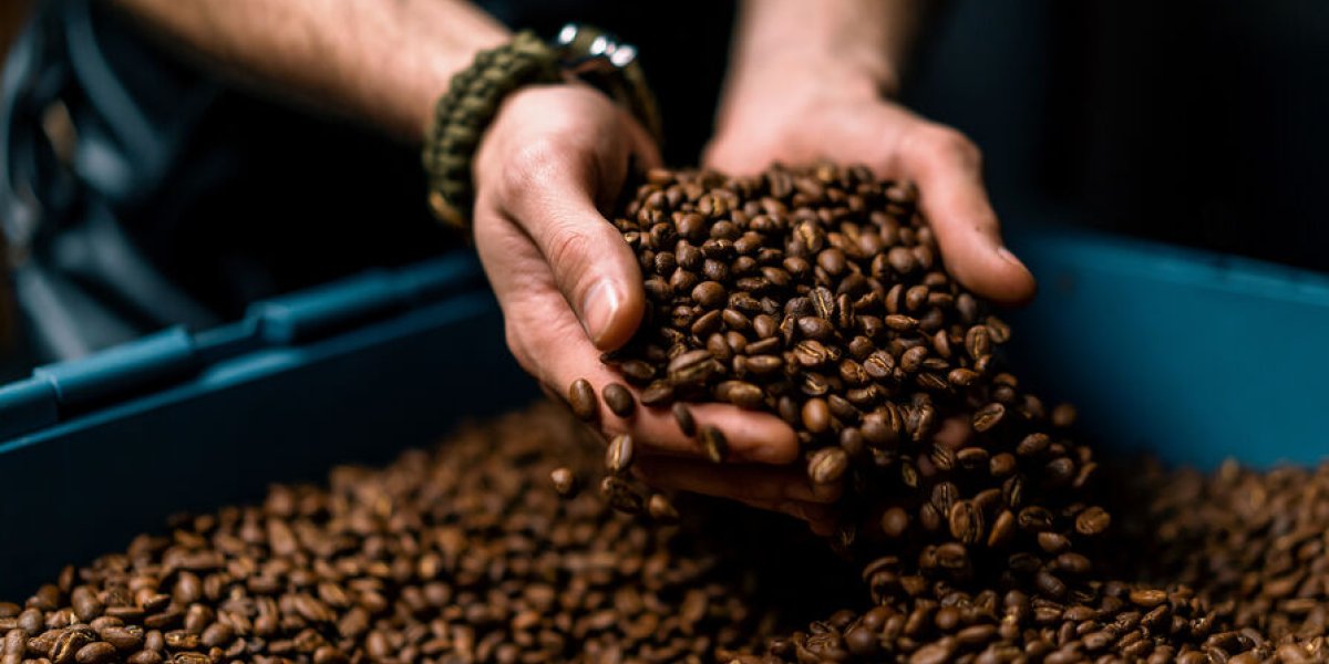 Кардиолог против мифов: как кофе на самом деле влияет на ваше сердце и мозг Кардиолог против мифов: как кофе на самом деле влияет на ваше сердце и мозг