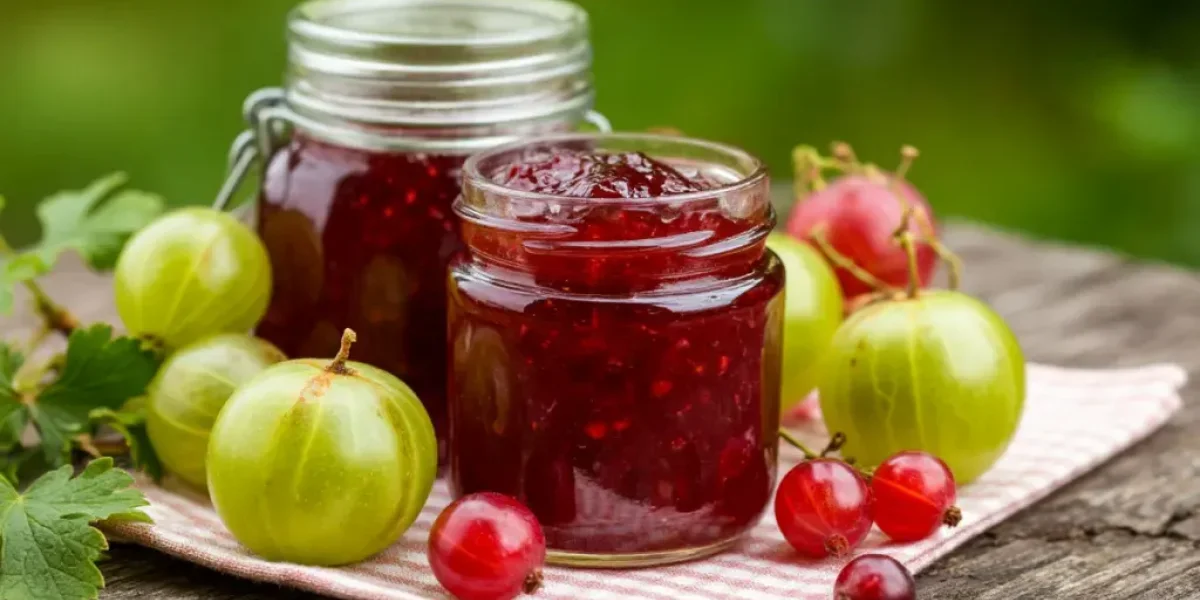 «Изумрудное» варенье Пушкина: Старинный рецепт царского лакомства из крыжовника «Изумрудное» варенье Пушкина: Старинный рецепт царского лакомства из крыжовника