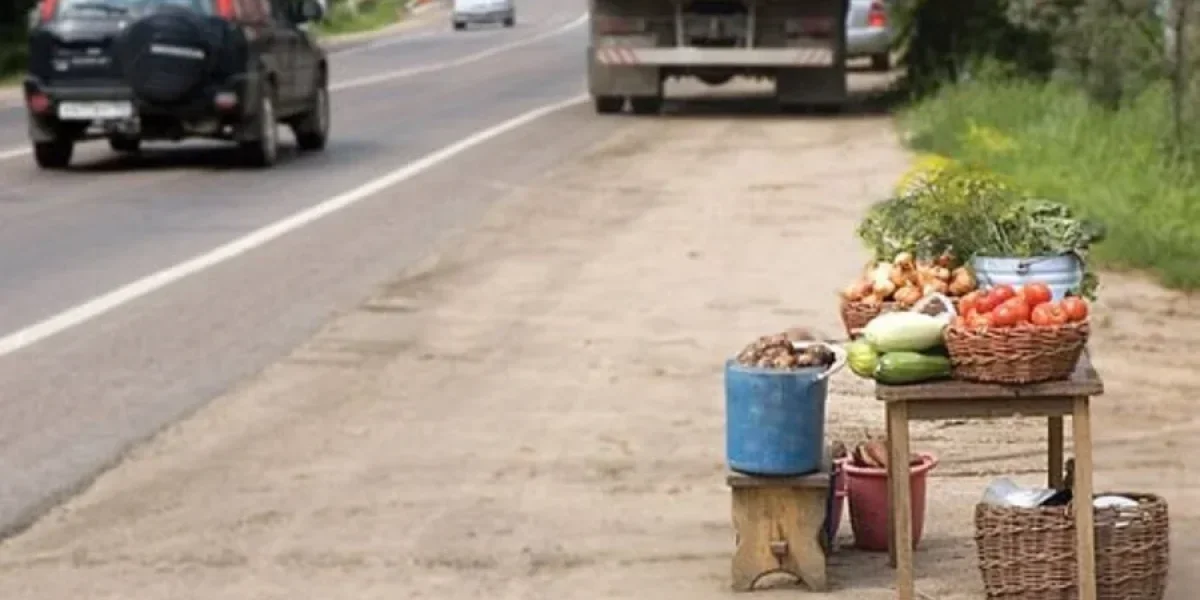 Законный урожай: как дачникам избежать штрафа в 2000 рублей и правильно продать излишки Законный урожай: как дачникам избежать штрафа в 2000 рублей и правильно продать излишки
