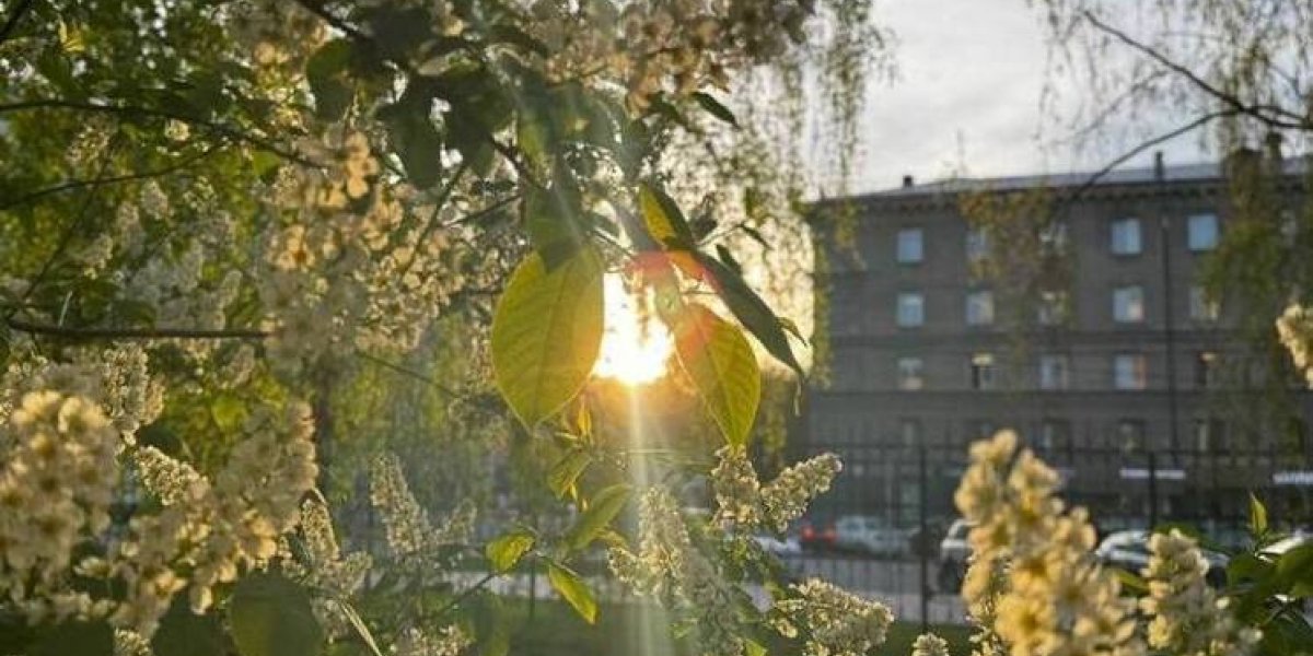 Новосибирская область перед лицом глобального потепления: Мягкие зимы, знойное лето и новые вызовы