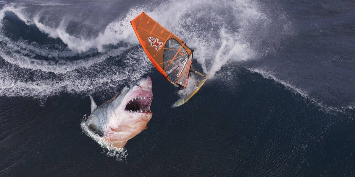 Гибель серфера в Сиднее: героический поступок и трагедия в водах Ди Уай Гибель серфера в Сиднее: героический поступок и трагедия в водах Ди Уай