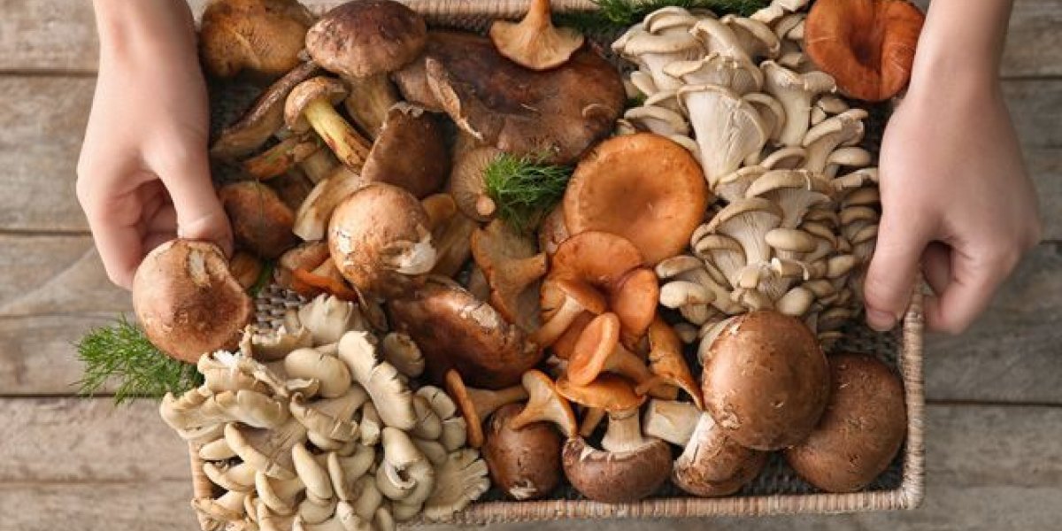 Секрет идеальных грибов: сколько варить каждый вид для полной безопасности и непревзойденного вкуса Секрет идеальных грибов: сколько варить каждый вид для полной безопасности и непревзойденного вкуса