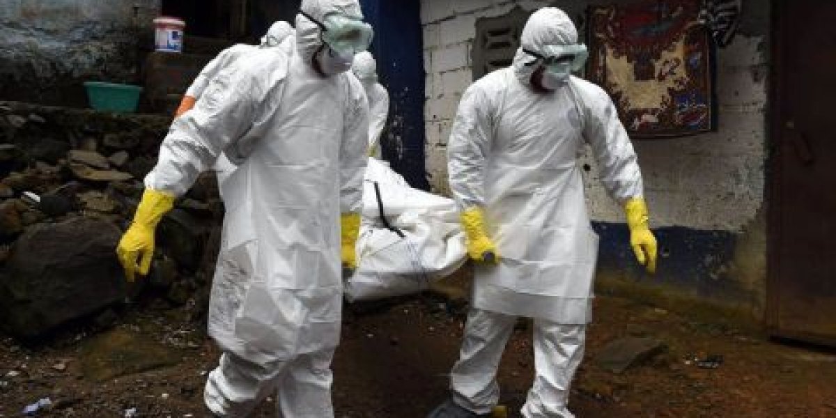 Вспышка сибирской язвы в Красноярском крае: введен карантин в поселке Первомайский Вспышка сибирской язвы в Красноярском крае: введен карантин в поселке Первомайский