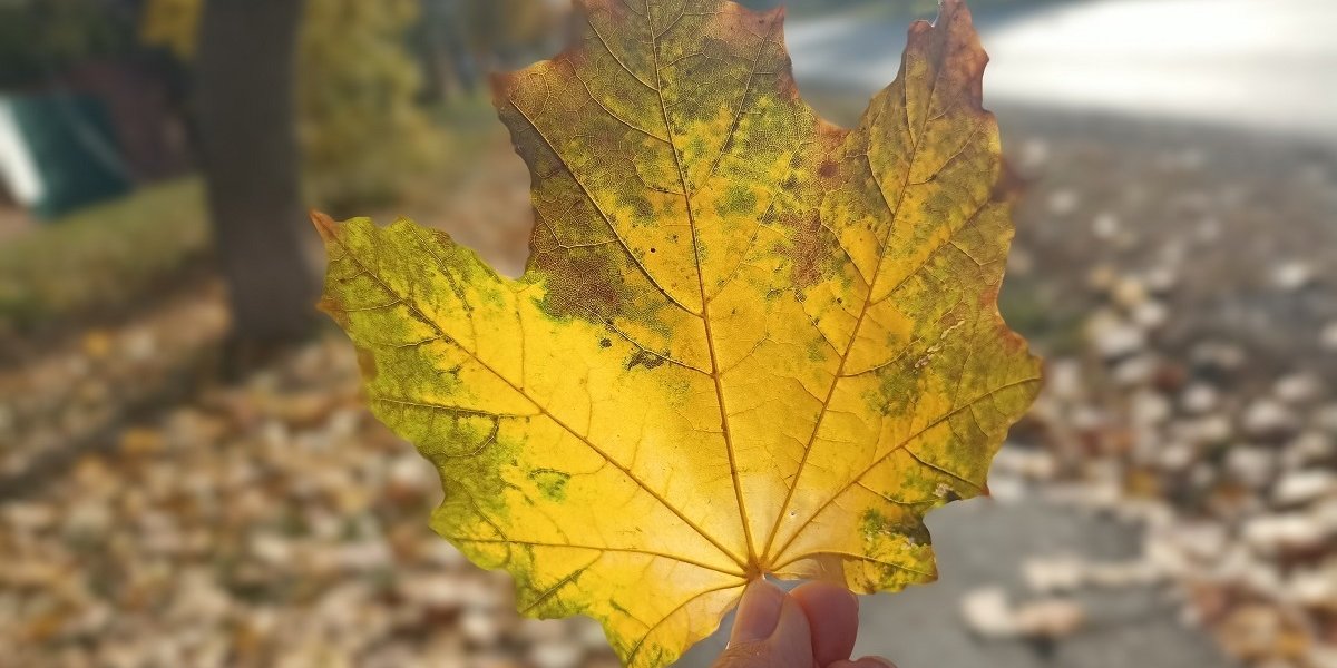 Сентябрь без бабьего лета: почему новосибирцам готовить теплые вещи вместо летних нарядов Сентябрь без бабьего лета: почему новосибирцам готовить теплые вещи вместо летних нарядов