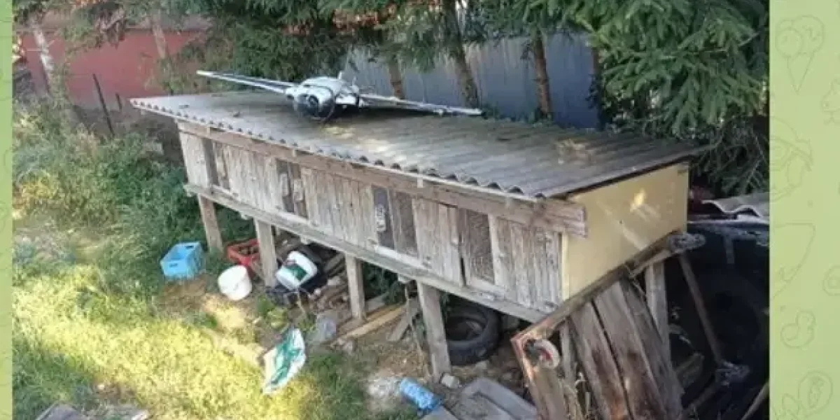 Польша объявляет об отправке войск на Украину. Для чего? Всё, НАТО в деле теперь официально Польша объявляет об отправке войск на Украину. Для чего? Всё, НАТО в деле теперь официально