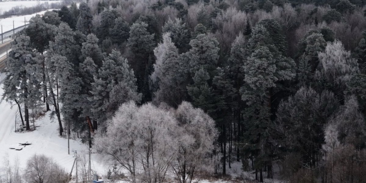 Зима 2025-2026: научные прогнозы и народные приметы о предстоящем сезоне