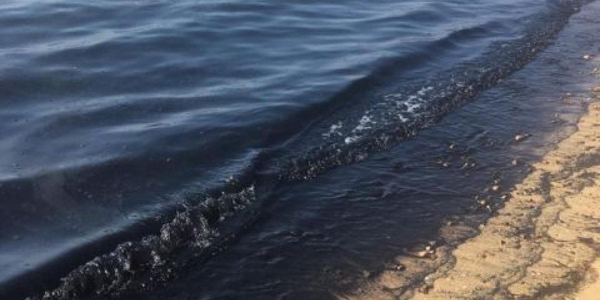 Завершена масштабная операция по очистке дна Черного моря у берегов Анапы