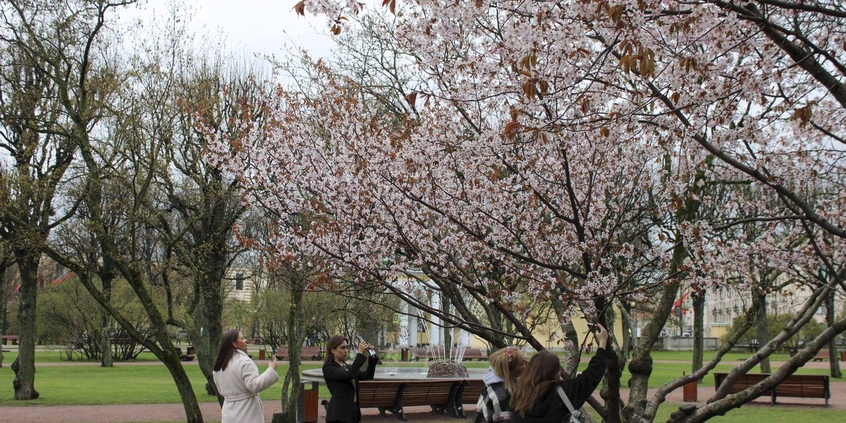 Ранняя весна 2026: какой будет погода в России после зимы с оттепелями и морозами Ранняя весна 2026: какой будет погода в России после зимы с оттепелями и морозами