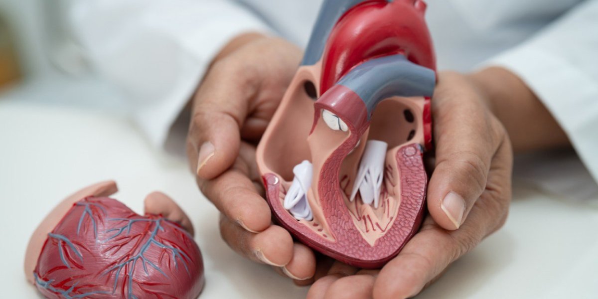 Рефлексология большого пальца: как минутное упражнение улучшает работу сердца и легких