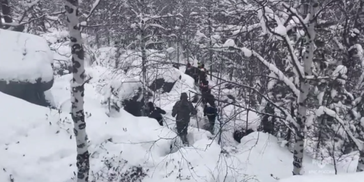 «Нашли и задержали»: новый поворот в истории семьи Усольцевых. Поиски в тайге остановили