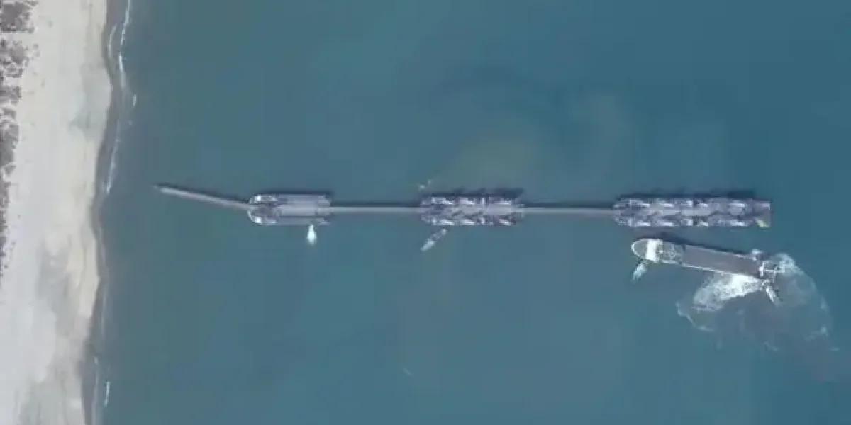 Китай просит Россию заканчивать СВО, чтобы помочь с Тайванем? Когда будет удар и чего ждут от нас?