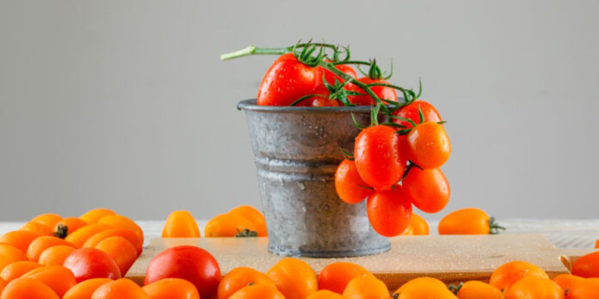 Зимний урожай на подоконнике: 3 сорта томатов, которые порадуют вкусом до весны Зимний урожай на подоконнике: 3 сорта томатов, которые порадуют вкусом до весны