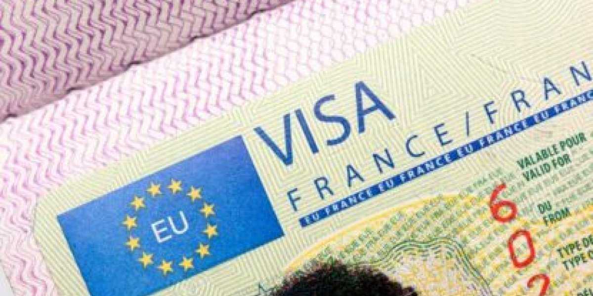 Почему Европейский союз объявил Москве визовую войну Почему Европейский союз объявил Москве визовую войну