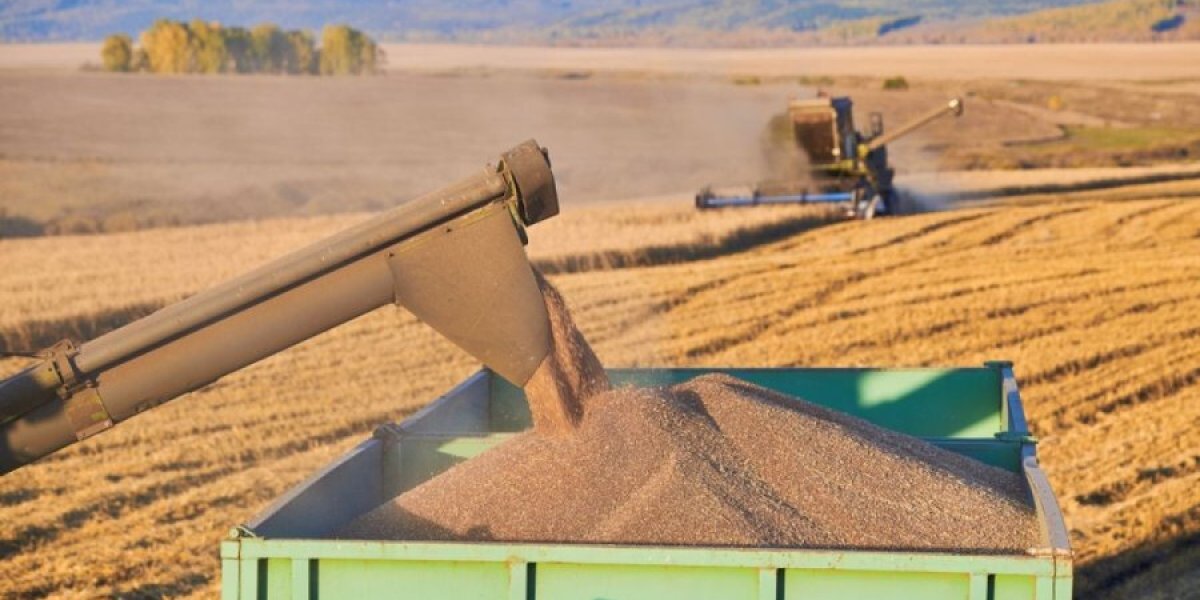 Экспорт зерна рухнул: высокий урожай превращается в головную боль и ничему чиновников не учит Экспорт зерна рухнул: высокий урожай превращается в головную боль и ничему чиновников не учит